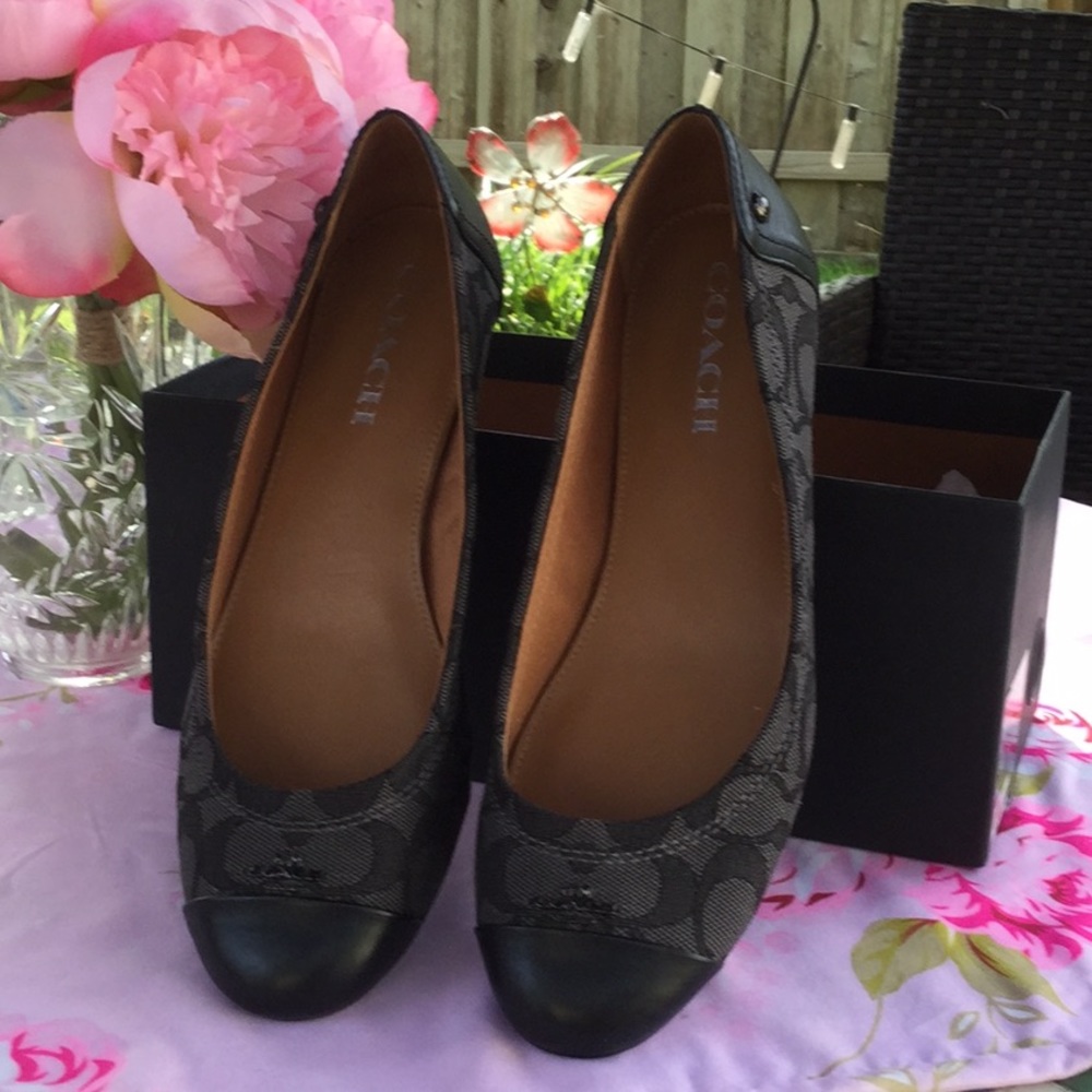 COACH CHELSEA SHOES